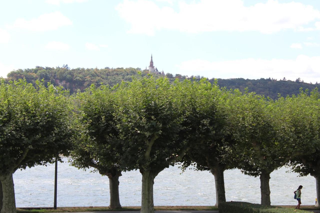 Top Rüdesheim am Rhein Eksteriør bilde